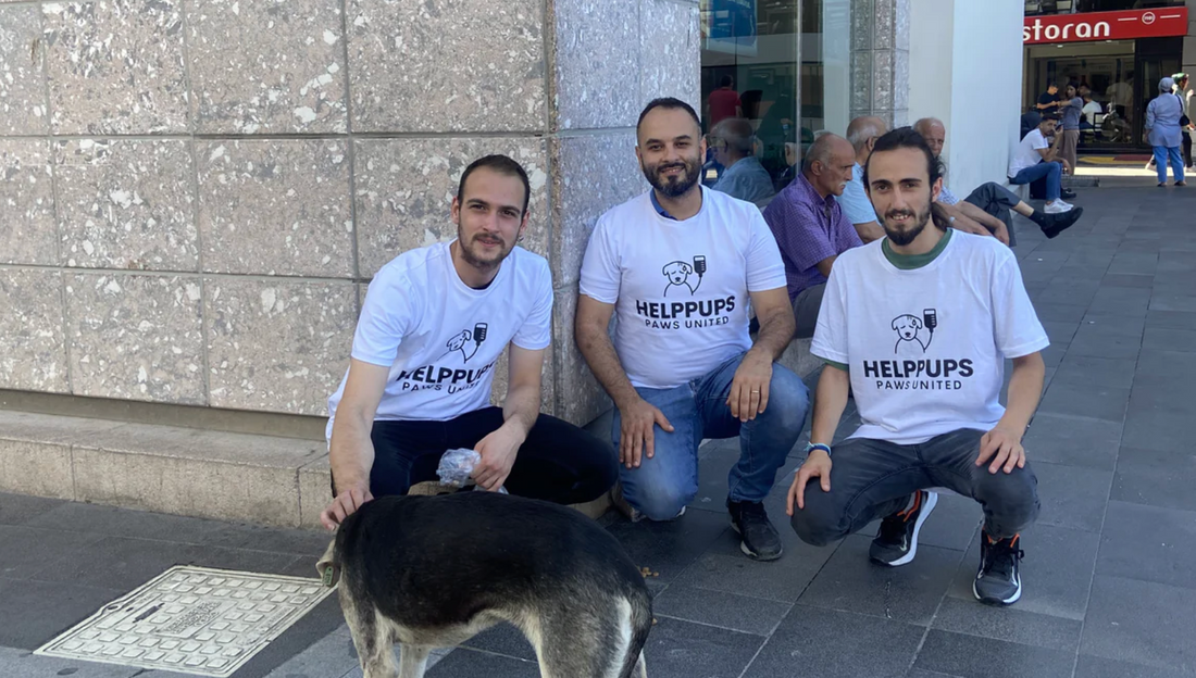 How are people saving dogs?